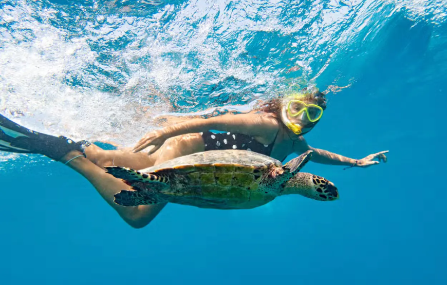 Snorkel com tartarugas no Mindelo