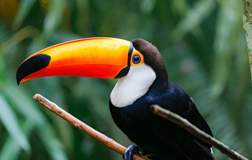 Fortaleza – Brasil 9 dias