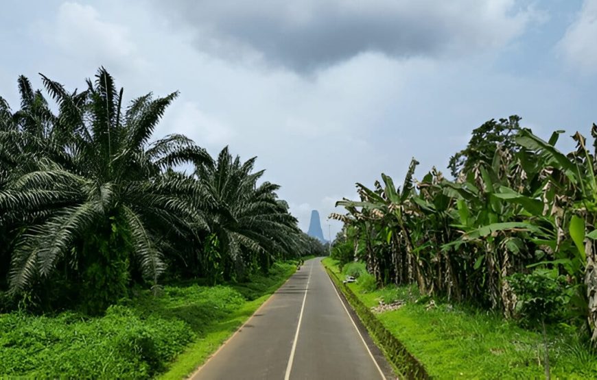 São Tomé e Príncipe